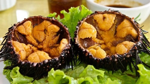 Thưởng thức nhum khi đi du lịch Nha Trang nhum bien nha trang - Thưởng thức nhum khi đi du lịch Nha Trang