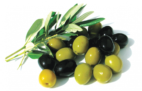 cong dung cua qua oliu - Khám phá công dụng bất ngờ từ thói quen ăn quả oliu