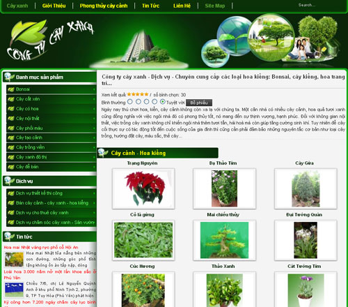 Công ty cây xanh – Dịch vụ – Chuyên cung cấp các loại hoa kiểng: Bonsai, cây kiểng, hoa trang trí… – Giới thiệu website mới