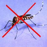 contrung16 150x150 - Cửa lưới chống muỗi - Lưới chống muỗi - Cua luoi chong muoi - Công ty cửa lưới - Giới thiệu website mới