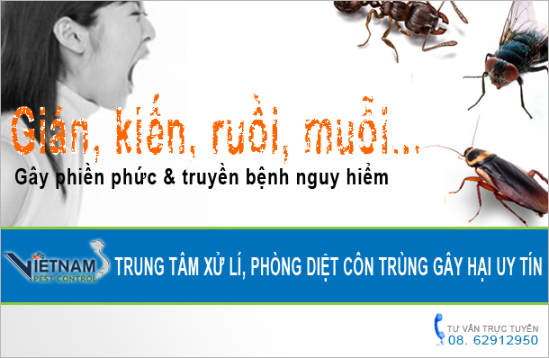 Diệt côn trùng – Dịch vụ diệt côn trùng – Công ty diệt côn trùng Việt Nam – Giới thiệu website mới