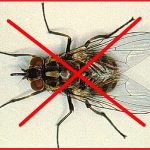 contrungviet net 150x150 - Diệt côn trùng, Dịch vụ diệt côn trùng, thuốc diệt côn trùng, diệt gián, kiến, mối, mọt, ruồi, muỗi - Giới thiệu website mới