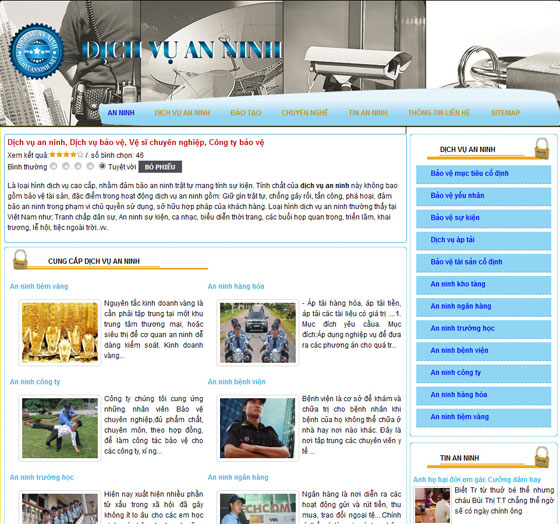 Dịch vụ an ninh, Dịch vụ bảo vệ, Vệ sĩ chuyên nghiệp, Công ty bảo vệ – Giới thiệu website mới