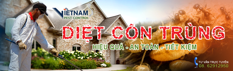 Diệt côn trùng – Diệt mối, Diệt muỗi, Diệt gián, Diệt kiến, Dịch vụ diệt côn trùng – Giới thiệu website mới