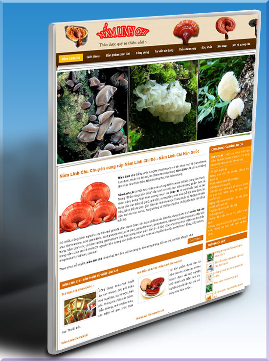 Nấm linh chi – Thảo dược quý – Giới thiệu website mới