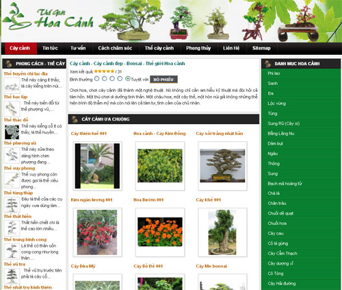 Cây cảnh – Cây cảnh đẹp – Bonsai – Thế giới Hoa cảnh – Giới thiệu website mới