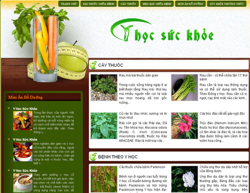 Y học Việt Nam – Blog sức khỏe – Giới thiệu website mới