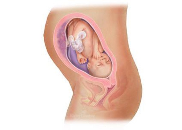 mang thai tuan 29 - Các giai đoạn mang thai, mẹ bầu cần lưu ý điều gì?
