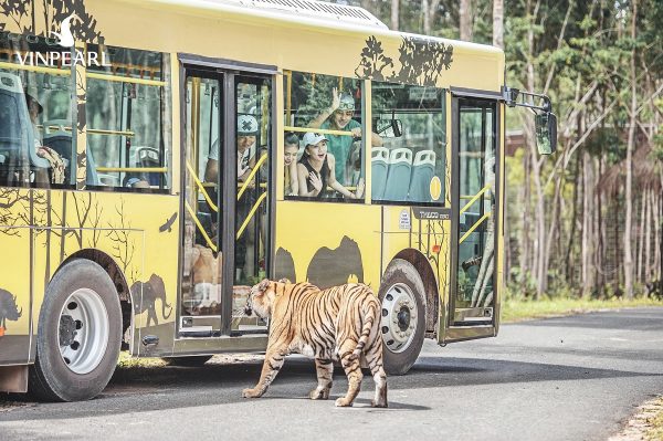 Vườn thú Safari