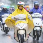 Dự báo thời tiết 10 ngày tới
